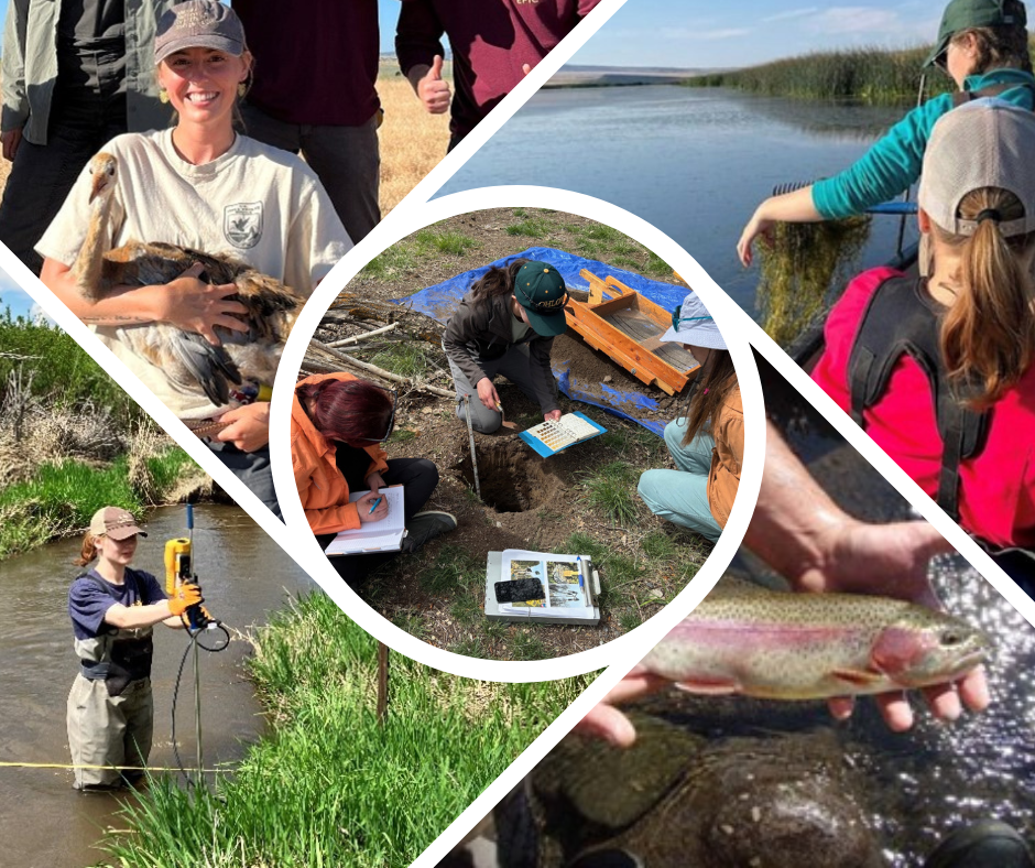 Summer Bio Techs Hard at Work!